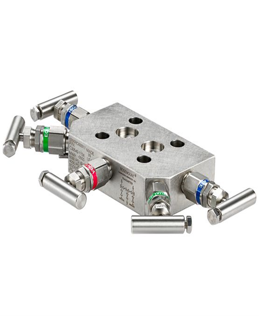 Rosemount 305 Integral Manifold TTS